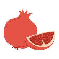 Whole Pomegranate with a Slice Showing Juicy Red Seeds vector