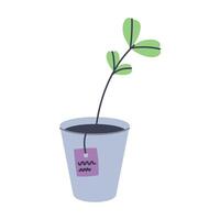 Seedling in a pot. Garden plant. Flat graphic element for spring design. vector