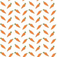 Seamless carrot pattern with orange carrots on white background. vector