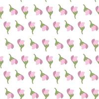 Seamless floral pattern with pink and green simple flowers on white background. vector