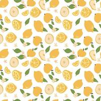 Citrus lemon pattern with leaves and flowers on white background. vector