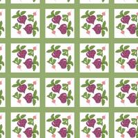 Seamless pattern of figs and leaves on white and green background. vector