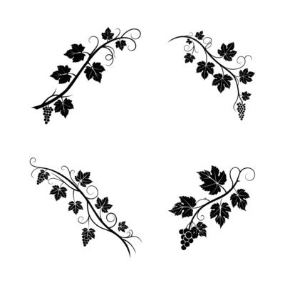 Elegant Black Grapevine Silhouettes Simple and Clean