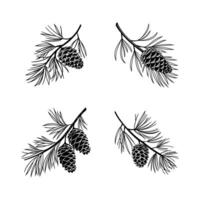 Clean and Simple Pine Cone Silhouettes in Black vector