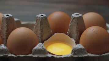 Fresh Chicken brown eggs in cardboard box on table. Slide shot. video