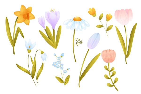 Colorful spring flowers in bright design,, garden flowers