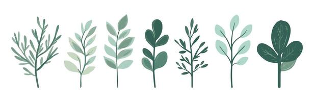 Set of tree and leaf collection hand drawn flat element. botanical set of bare trees and ones with leaves and lush green vector