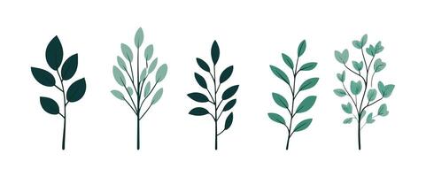 Set of tree and leaf collection hand drawn flat design element for textile pattern or nature business vector