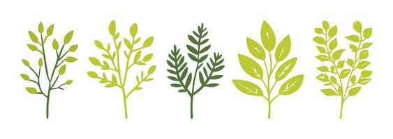 Set of tree leaf collection hand drawn flat design element. botanical set of bare trees and ones with leaves vector