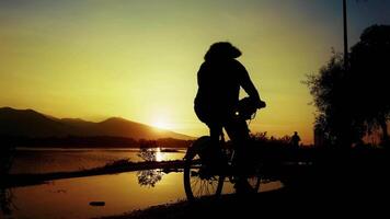Moving Bicycle Silhouette is Passing in Sunset Light Near the Sea video