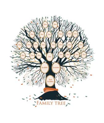 Family tree or genealogical chart template with branches and round portrait frames isolated on white background. Representation of links between relatives and their ancestors. illustration