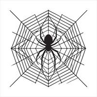 A spider web on a white background vector