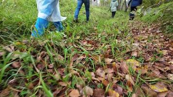 A diverse group of friends embarks on an outdoor adventure, walking through a wooded path and into a grassy field. Their laughter echoes as they explore natures beauty, creating cherished memories video