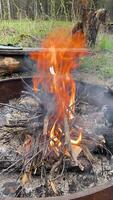 A closeup image of a campfire in the forest with burning wood and sticks. The flame rises high, creating a warm and inviting atmosphere amidst the greenery and nature video