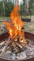 A bonfire flickers in a forest clearing, surrounded by autumn leaves and trees. Perfect for camping and nature enthusiasts, providing warmth and a cozy ambiance for friends and family gatherings video