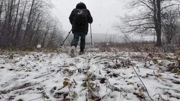 A serene winter scene reveals a snowy landscape with tall trees and gently falling snowflakes, creating an atmosphere of peace and inviting appreciation of natures beauty video