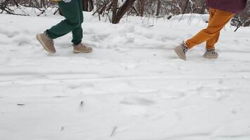 Two individuals dressed in vibrant and colorful winter clothing joyfully walking through a blanket of fresh, sparkling snow, surrounded by tall trees and a peaceful, serene winter landscape video