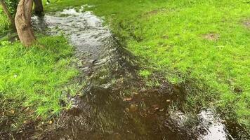 This serene image beautifully captures the shallow water that has pooled on the vibrant green grass, showcasing the reflection of the surrounding natural beauty in an idyllic scene video