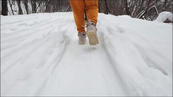 A person is happily walking along a snowy trail dressed in bright orange pants and matching shoes, relishing the peaceful winter scenery featuring tall trees and fresh, untouched white snow video