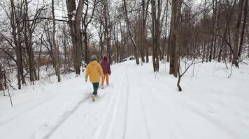 A snowcovered trail winds through a serene forest, with footprints leading into the distance, beautifully capturing winters peaceful vibes and enchanting natural beauty video
