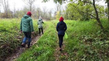 A diverse group journeys through lush woods and grassy fields, enjoying natures tranquility. A man and woman walk closely, sharing moments of laughter and connection amidst the vibrant scenery video
