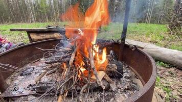 Immerse yourself in the cozy and relaxing atmosphere of a burning fire pit in a rustic forest setting. Ideal for camping and outdoor adventures, surrounded by bright flames and natural scenery video