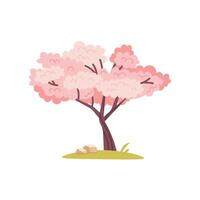 Pink blooming tree. Cherry or sakura tree on white background. botanical element for spring, Hanami vector