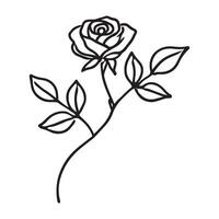 Single Rose Line Art Sketch Illustration vector