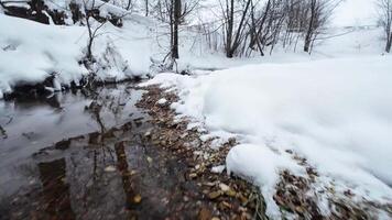 A winter stream flows through a snowcovered landscape, revealing fallen leaves beneath the snow. This scene captures natures beauty, evoking calm and serenity in the viewer video