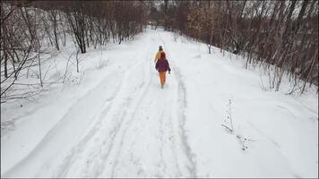 A solitary person walks purposefully along a snowpacked trail, immersed in the stunning winter scenery, where clear footprints enhance the charm of the untouched landscape video