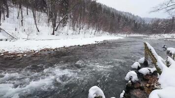 A tranquil scene features a flowing stream surrounded by snowcovered banks and tall trees, capturing winters beauty and inviting observers to appreciate its serene charm video