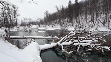 A beautiful winter scene displays a frozen river, surrounded by snowcovered trees and scattered logs, effectively capturing the serene tranquility of nature during this peaceful season video