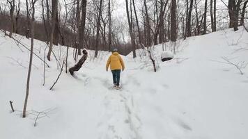 A person walking carefully along a snowy trail, immersed in a beautiful winter forest, surrounded by tall trees, capturing the essence of tranquility and the stunning beauty of nature video