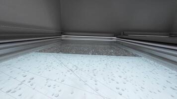 The modern indoor environment features sleek surfaces, captivating patterns, and vibrant green foliage, creating a calm, serene, minimalist aesthetic that soothes the mind video