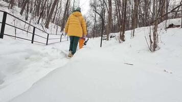 A cheerful child in a yellow jacket joyfully walks through fluffy snow in a beautiful forest, surrounded by tall trees and a stunning winter landscape full of life and wonder video
