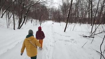 Two cheerful people stroll along a snowcovered path among tall trees in bright winter coats, enjoying a peaceful day immersed in natures beauty and making memories together video