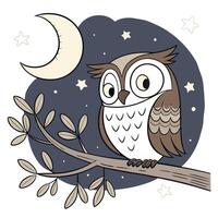 An owl sitting on a branch with stars and moon vector