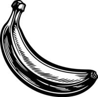 A black and white drawing of a banana vector