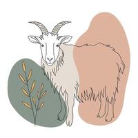 Goat with long horns and grass on a white background vector