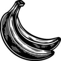 A black and white drawing of a banana vector