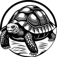 Turtle in a circle vector