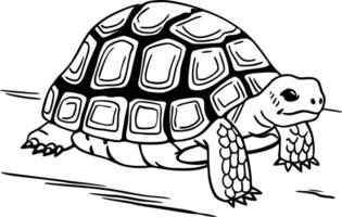 Turtle coloring pages for kids vector