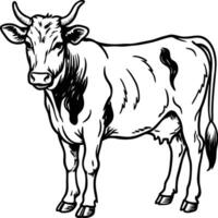 Cow coloring pages cow coloring pages cow coloring pages vector