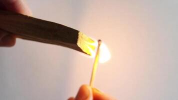 Lighting a wooden stick with a match closeup sequence of ignition and flame progression. video