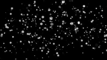 Christmas snowflakes on a transparent background. Snow flakes, snow background. Heavy snowfall,snowflakes in different shapes and forms. video