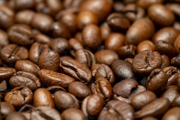 Freshly roasted coffee beans ready for brewing in a cozy kitchen