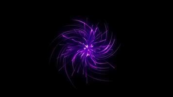 Fantasy Firework exploding.Purple fantasy Fireworks explode like energy effect background video