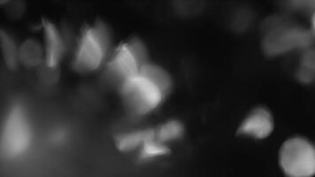 Luminary Bokeh appear around screen effect background video