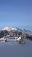 Snow blankets the remote cabins nestled among tall evergreen trees with mountains rising majestically in the background on a clear winter day. Vertical footage video