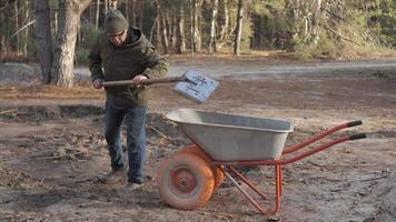 A person dressed warmly is using a shovel to move soil in a forest clearing while, a wheelbarrow rests nearby on a dirt path under the trees video